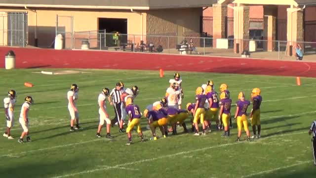 Freshman Football Affton High School St Louis Missouri
