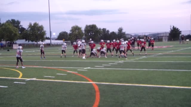 Upper Dublin Cardinals Upper Dublin Youth Football Club Ambler