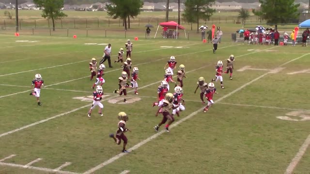 Sophomore Summer Creek Bulldogs Gold Humble Area Football League
